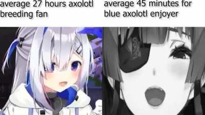 virgin kanata vs chad marine