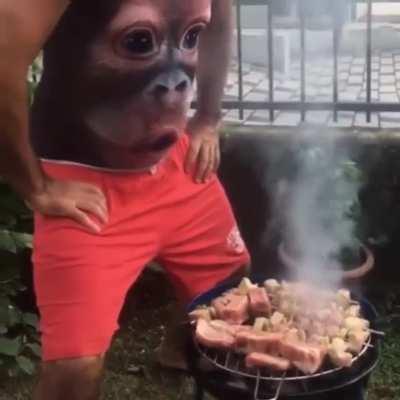 Monkey See, Monkey Barbecue