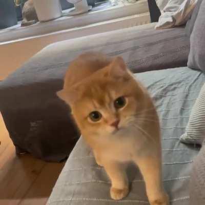 Look at my little Julie:) and appreciate him for always being there for me