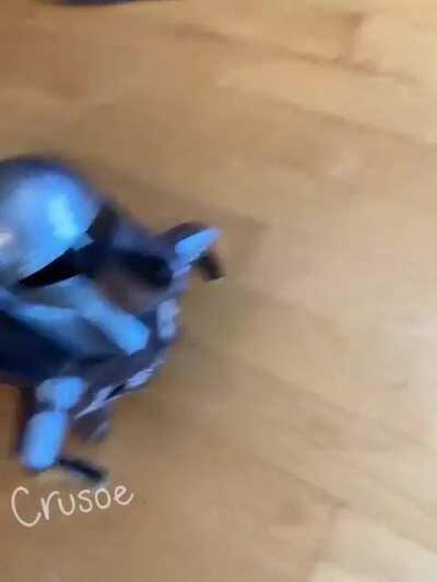 Full season recap of the Mandalorian for your convenience, as enacted by dogs..