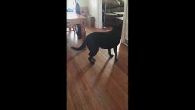 When you are Ghost Face and you see your own ribbons