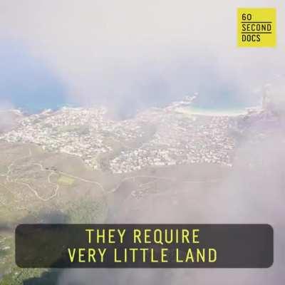 Has It Really Come Down To This