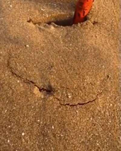 Thanks, I hate beaches and sand.