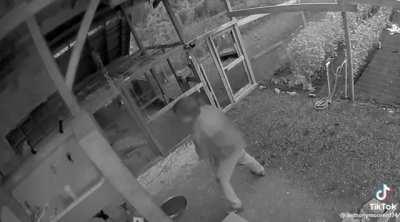 Man slaps bear while defending his dogs and girlfriend