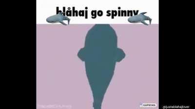 I made this little shark video and I thought you people would enjoy it