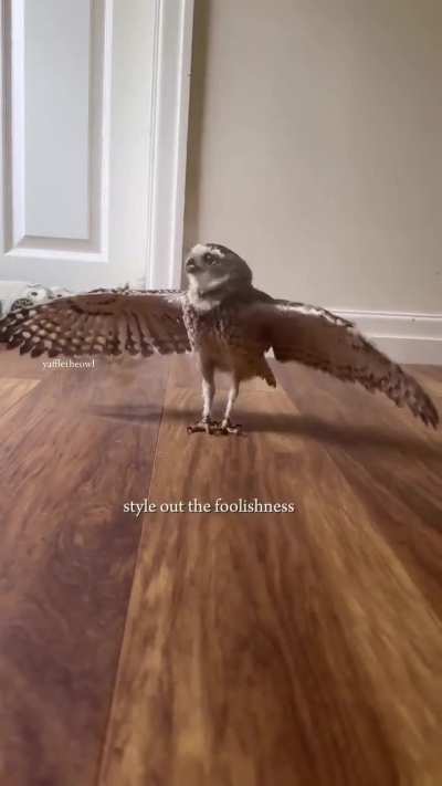 Long leg baby enjoys misting shower (credit in video)