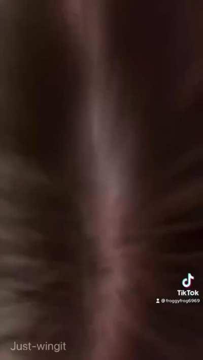 I hope you like busty Canadian girls!