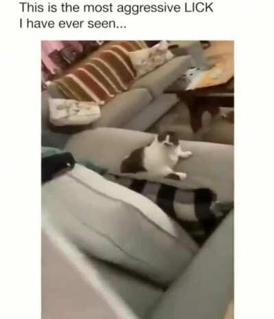 Ok here it comes...wait...wait....now...*sssslluuurrrrppp