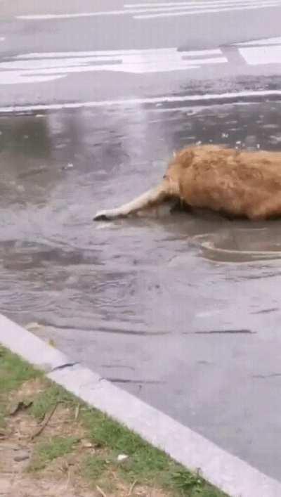 Water. Water everywhere