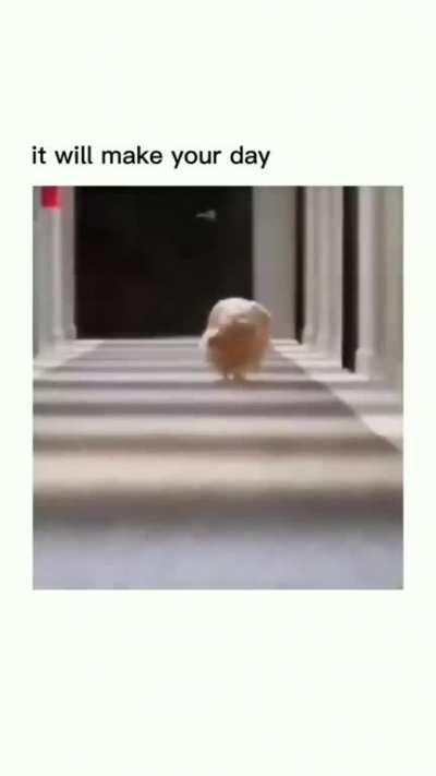 It will make your day 