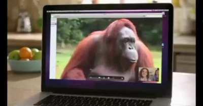 monke arguing with stinky hooman