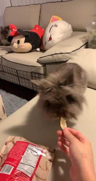 Late night snacks 🍎