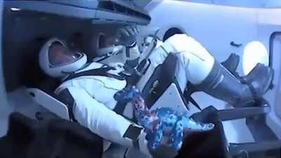 A dinosaur has made it into space