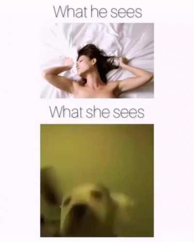 Dog be having a blast