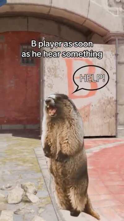 The panic mode instantly switches on xD