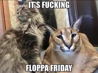 ITS FLOPPA FRIDAY BITCHES!