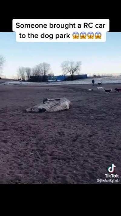 We all know what will happen if they catch it