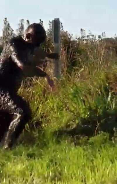 Crossing a river with a pole