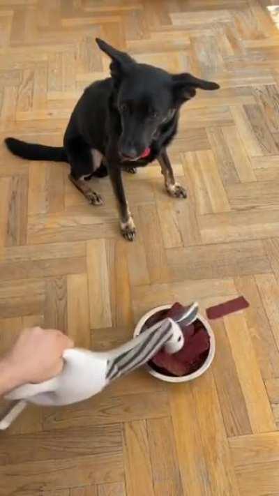 when you pretend that a plushie llama eats your dog's food/Не свеже.