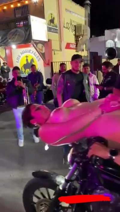 Puss n Bike - Two fav. hobbies