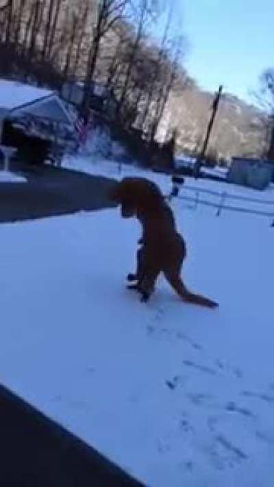 Fuck you Sharptooth.