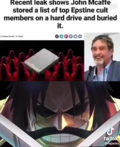 John McAfee has left a real life one piece