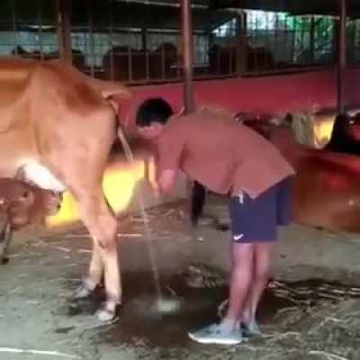 Just gonna leave this right here.