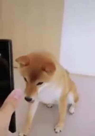 good chems ! (X-post from r/pewdipie submission)