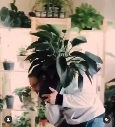 That’s always been there!