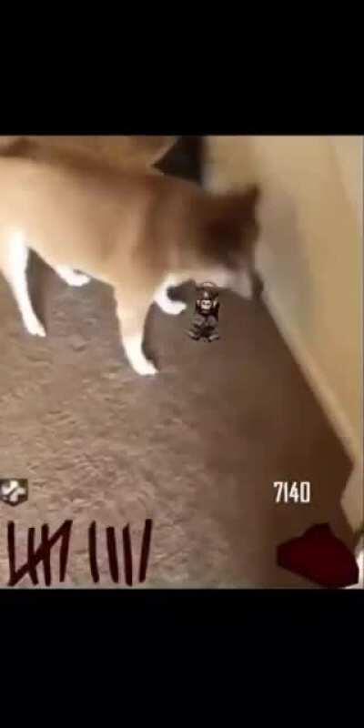 A classic if I must say so myself