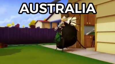 Australia moment 😎