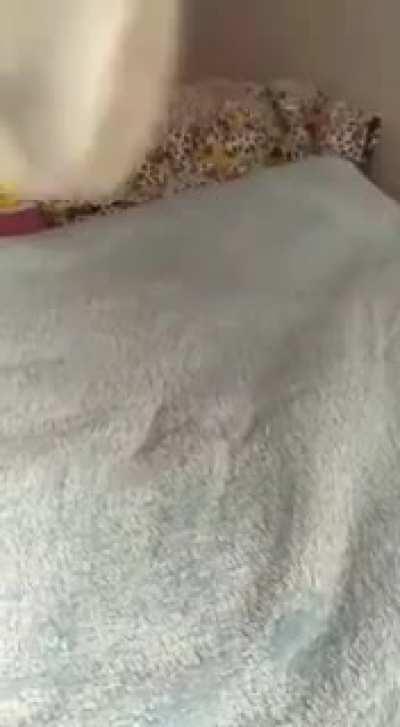 He doesn't want me to waste my time on Reddit