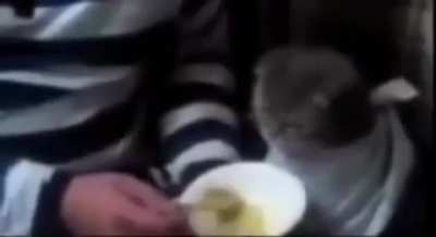 En sevdiğiniz çorba nedir?