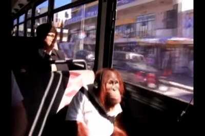 sakın gelme üstüme sözlerim kayıp ayıp ediyorum kendime ( 