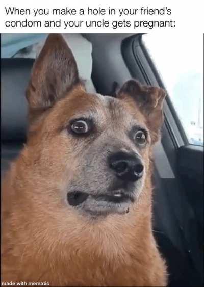 It doesn’t abide by the laws of logic