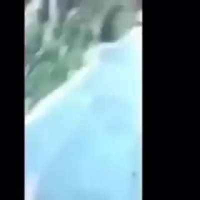 Topita_Temporada_completa.mp4 ''vsfcorrertordoreddit''´´posteierradovsf´´