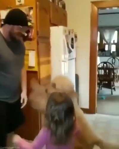 The coolest Dad Ever ! This cutie dog want that too . So cute !