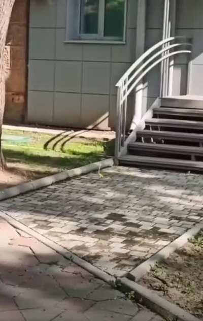 There's always joy to be found in life.