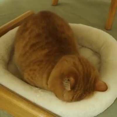 No please, No Wake Up Calls