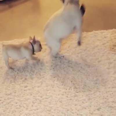 Would you please STOP DOING THAT