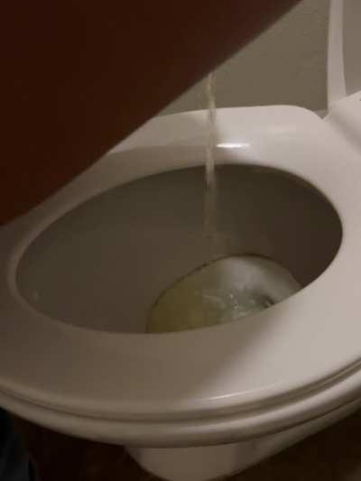 Would you open wide to swallow all my delicious golden nectar?