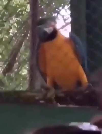 celebrating the end of the week