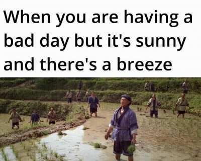 It's the simple things that brings the most joy