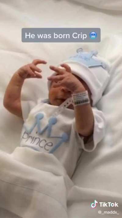 Fly High Little Criplet 💙🕊