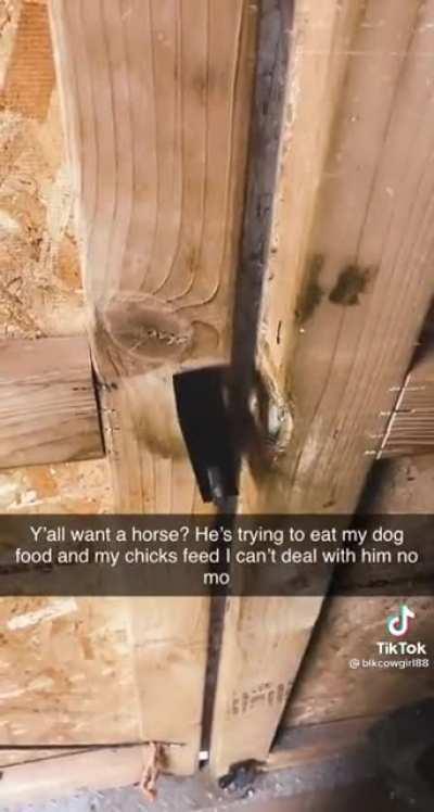 Not my video, but this horse is smart.