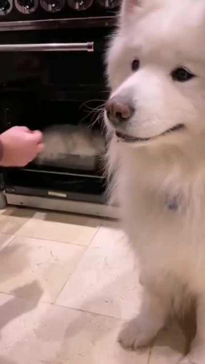 SICk fuCk uSEs forBIDen NeCRomancy to crEaTe ClONE aRMy of EnslAved DOGGOs