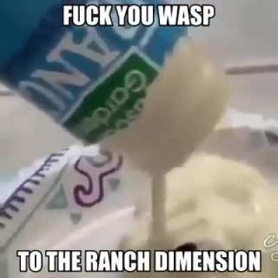 🍽😋😎.,fu*uck wasp 🦟