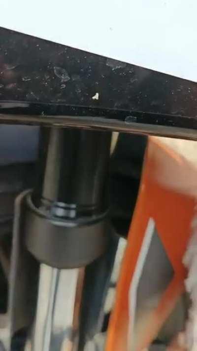 stupid biker continues to film bird stuck to his bike