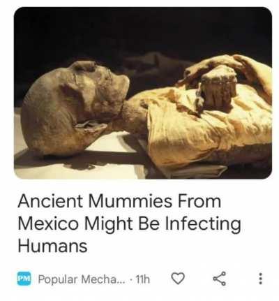 NECALLI WILL BE REAL IN 5 MINUTES