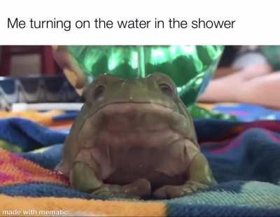 Frogs are fucking cute